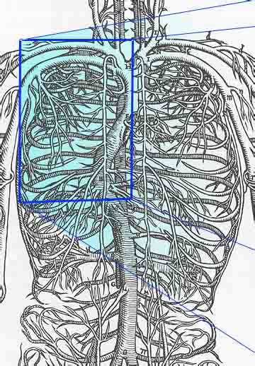 Fractal Body