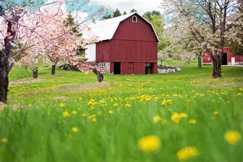 Spring Farm Wallpapers - 4k, HD Spring Farm Backgrounds on WallpaperBat