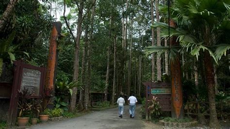 Sungai Congkak Recreational Forest (Hutan Lipur Sungai Congkak) – Visit Selangor