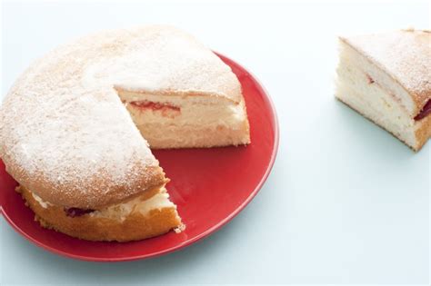 Freshly baked simple sponge cake - Free Stock Image