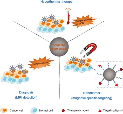 Nanomaterials for cancer therapies