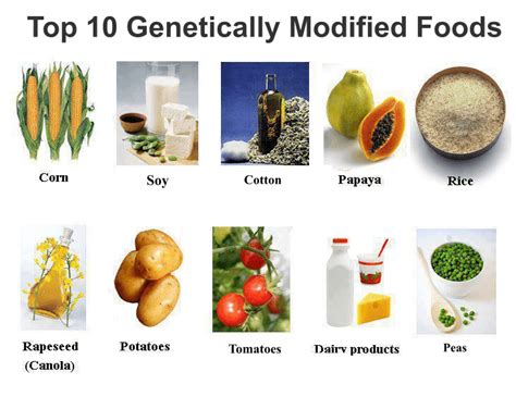 Genetically modified foods in our daily meals, let us count the ways ...