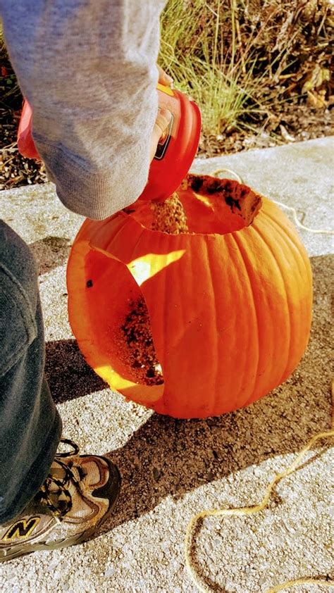 Pumpkin Bird Feeder – 5 Min Craft Project – GrowIt BuildIT