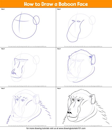 How to Draw a Baboon Face printable step by step drawing sheet : DrawingTutorials101.com