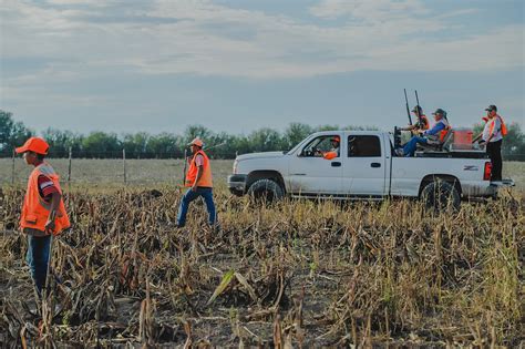 Wild Quail Hunting in Mexico | Rancho Ala Blanca