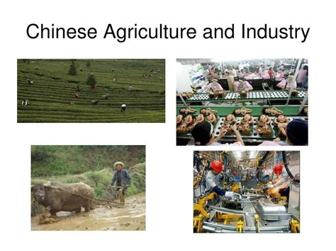 PPT - Main Idea 1: China’s booming economy is based on agriculture, but industry is growing ...