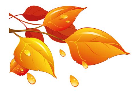 leaf clipart with transparent background - Clipground