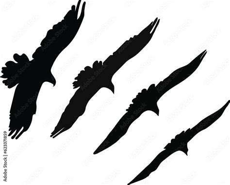 Flying eagle silhouette vector image drawing art with high resolution ...