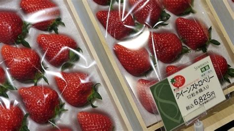 Inside Japan's Most Insanely Expensive Fruit Parlor