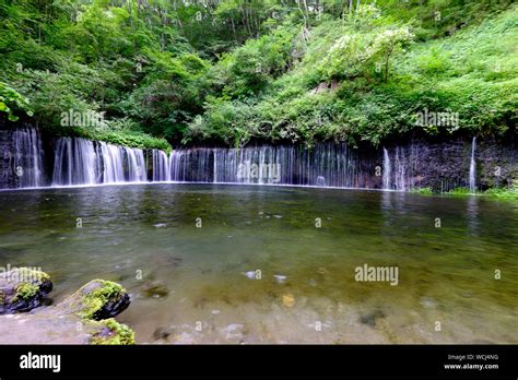 River Flowing Through Forest Stock Photo - Alamy