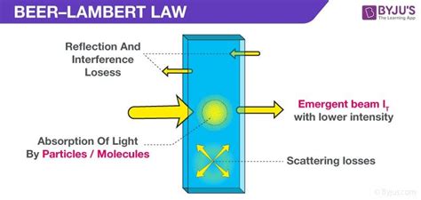 Derivation of Beer Lambert Law- Beer Lambert Law Definition, Beer ...