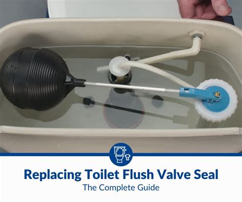 How To Replace Toilet Flush Valve Seal (2024)