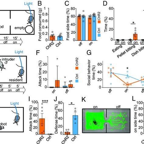 LHA Gad2+ neurons promote predation. (A) Gad2::Cre transgenic mice were ...