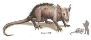 GIANT RAT - 5e stats - ANGRY GOLEM GAMES