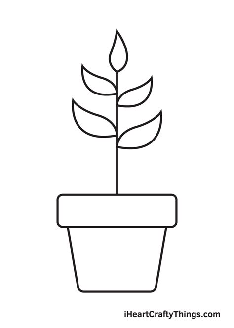 Plant Drawing — How To Draw A Plant Step By Step