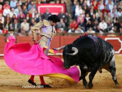 Matador Bullfight Photos