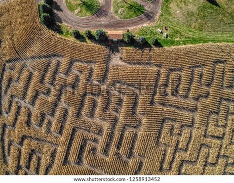 Aerial View Corn Maze Eastern South Stock Photo 1258913452 | Shutterstock