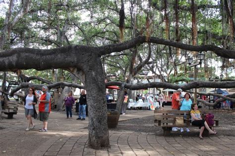 Owners of iconic Cheeseburger In Paradise, with deep ties to Southern ...