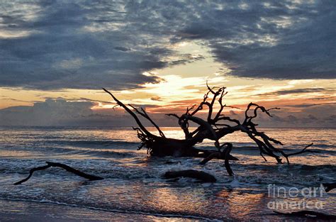 Driftwood Beach Sunrise Photograph by Kerri Farley