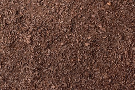 Soil texture detail for gardening | Nature Stock Photos ~ Creative Market