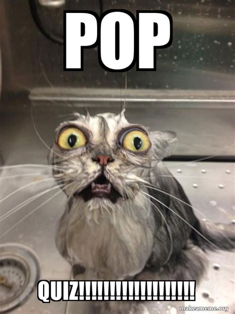 POP QUiZ!!!!!!!!!!!!!!!!!!! - Cat bath Meme Generator