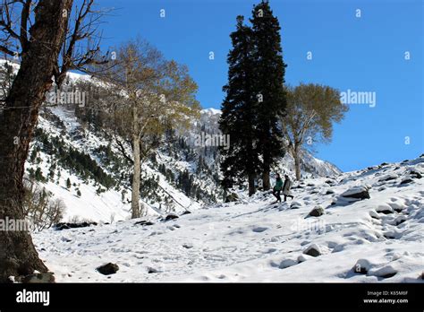 Winter snow mountain valley, Sonmarg in Kashmir, India Stock Photo - Alamy