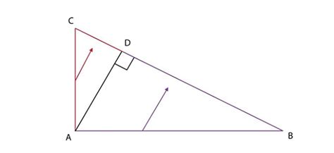 Teorema catetei. Lectie online Matematica, clasa a VII-a • Blog ExamenulTau