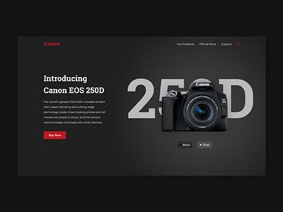 Canon 250d designs, themes, templates and downloadable graphic elements on Dribbble