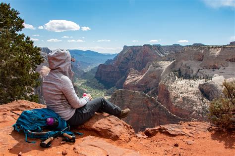 Observation point trail, Zion National Park, USA : r/hiking