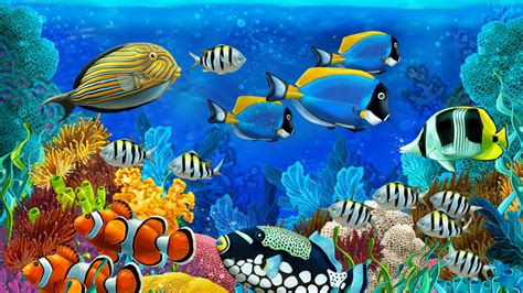 Coral Fishs In Deep Ocean 4K 8K HD Animals Wallpapers | HD Wallpapers ...