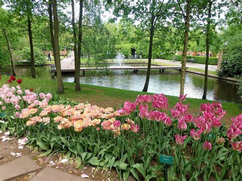 My Life in Retirement: K - Keukenhof Gardens, Netherlands