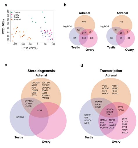 A genomic atlas of human adrenal and gonad... | Wellcome Open Research