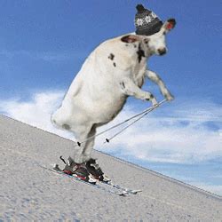 Skiing Snow Head Crash GIF | GIFDB.com