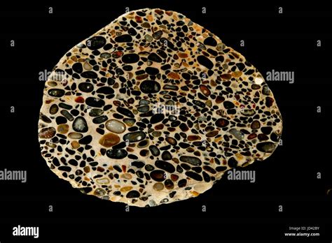 Conglomerate, puddingstone, sedimentary rock, France Stock Photo - Alamy