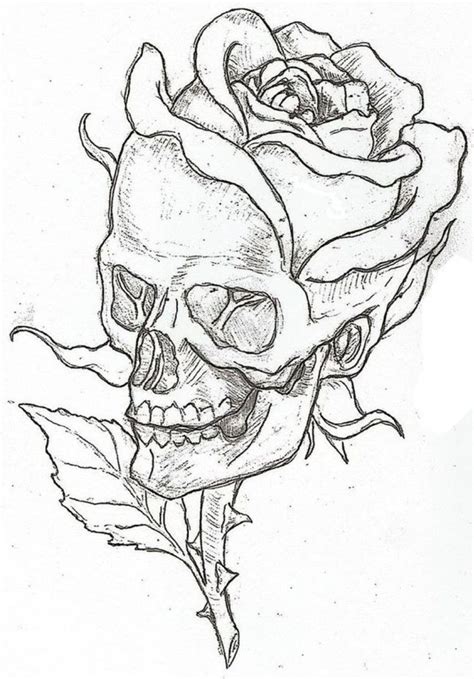 Skull Drawings In Pencil