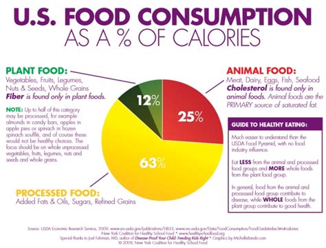 Average American Diet (Infographic) | Fanatic Cook