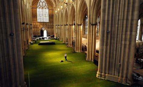 york minster cathedral interior covered in grass