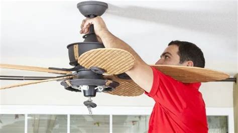 Electric Ceiling Fan Repair | Shelly Lighting