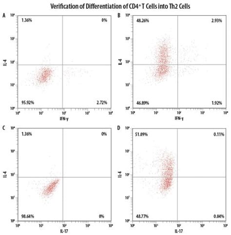 Human Th2 Cell Differentiation Kit (CDK002): R&D Systems