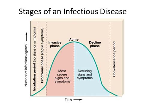 Hsv incubation period: Herpes Incubation Period: Your HSV Questions ...