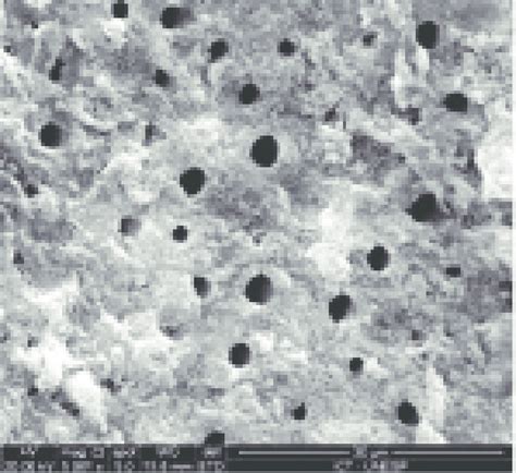 -Surface conditioned for 5 s (5000X). Few open dentin tubules with... | Download Scientific Diagram