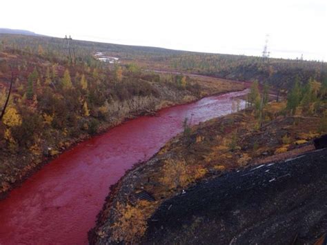 Russian officials investigating why the waters of the Daldykan river ...