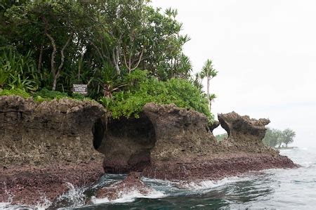 Tetepare Island Rangers and WWF Coral Reef Research, Western Province ...