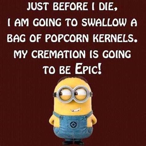 Best Funny Quotes Top 50 Very Funny Minions Picture Q - vrogue.co