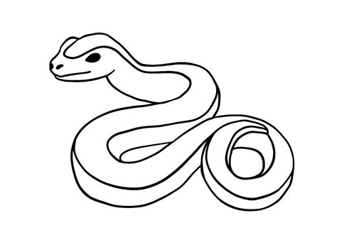 10+ Snake Outline Drawing - DeborahIslay