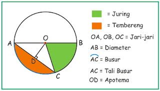 Kumpulan Rumus Matematika: Rumus Lingkaran