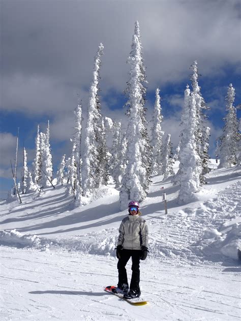 a snowboarder is standing in the middle of a snowy slope with trees on both sides