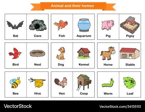 Animals And Their Homes Worksheets English - pic-ora