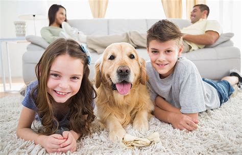 Why You Should Get A Pet For Your Children | Coastal Kids Pediatrics