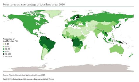 World's Forests Map | Wondering Maps